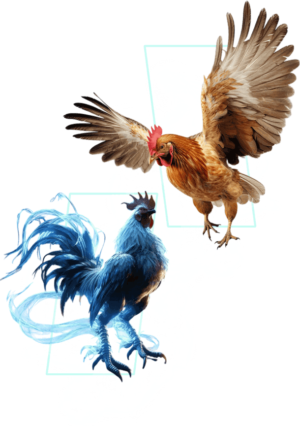 bj66-Meo-Cho-Nguoi-img