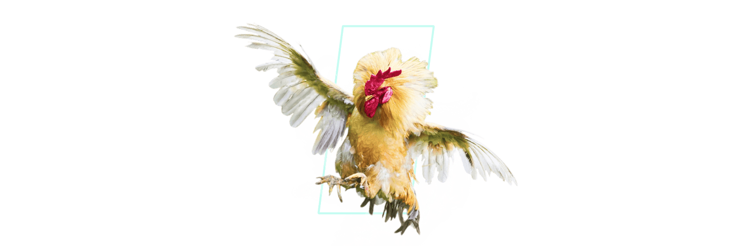 bj66-below-banner-bg